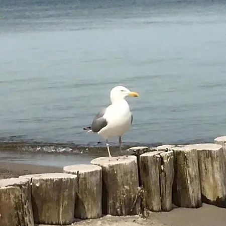 Апартаменты Kranich