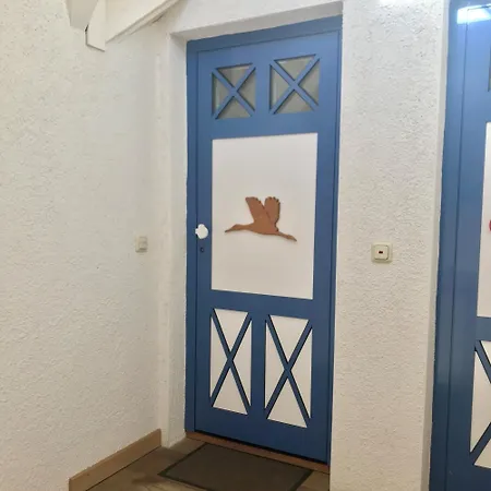 Kranich * Цингст